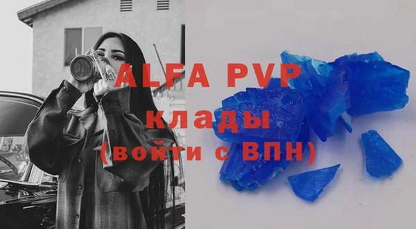 шишки Белоозёрский