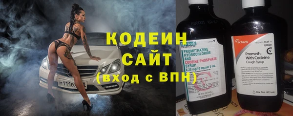 шишки Белоозёрский