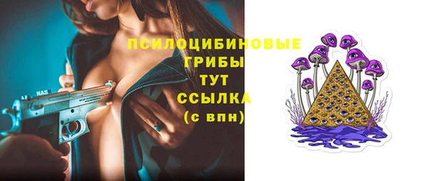 шишки Белоозёрский