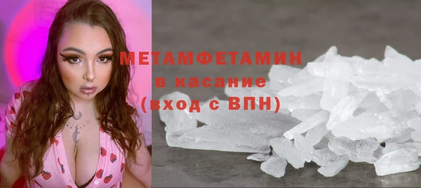 шишки Белоозёрский