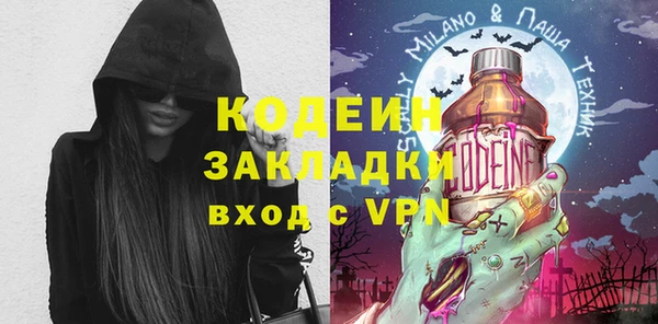 шишки Белоозёрский