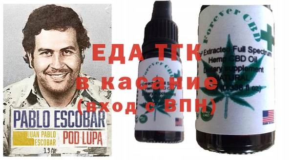 шишки Белоозёрский