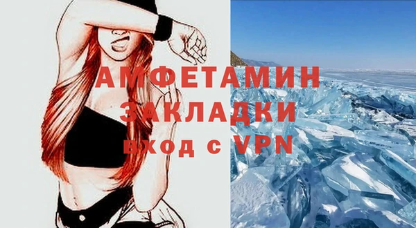 шишки Белоозёрский