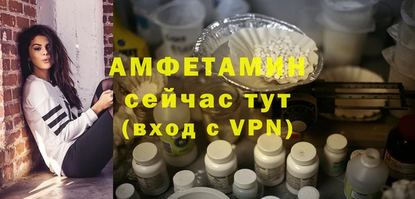 шишки Белоозёрский