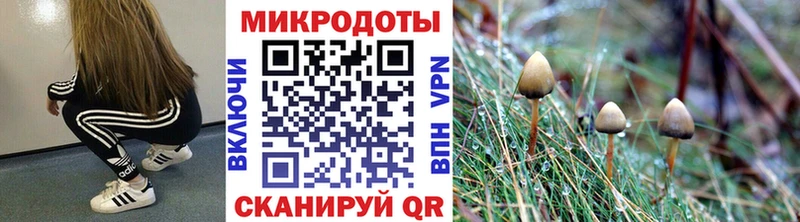Купить  Новая Ляля  Галлюциногенные грибы Psilocybe 